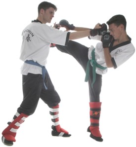 Wing Chun Kung Fu Den Haag